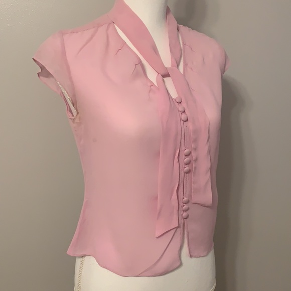 Ann Taylor, Silk blouse, button front with neck ties, pink, medium petite - Picture 3 of 7